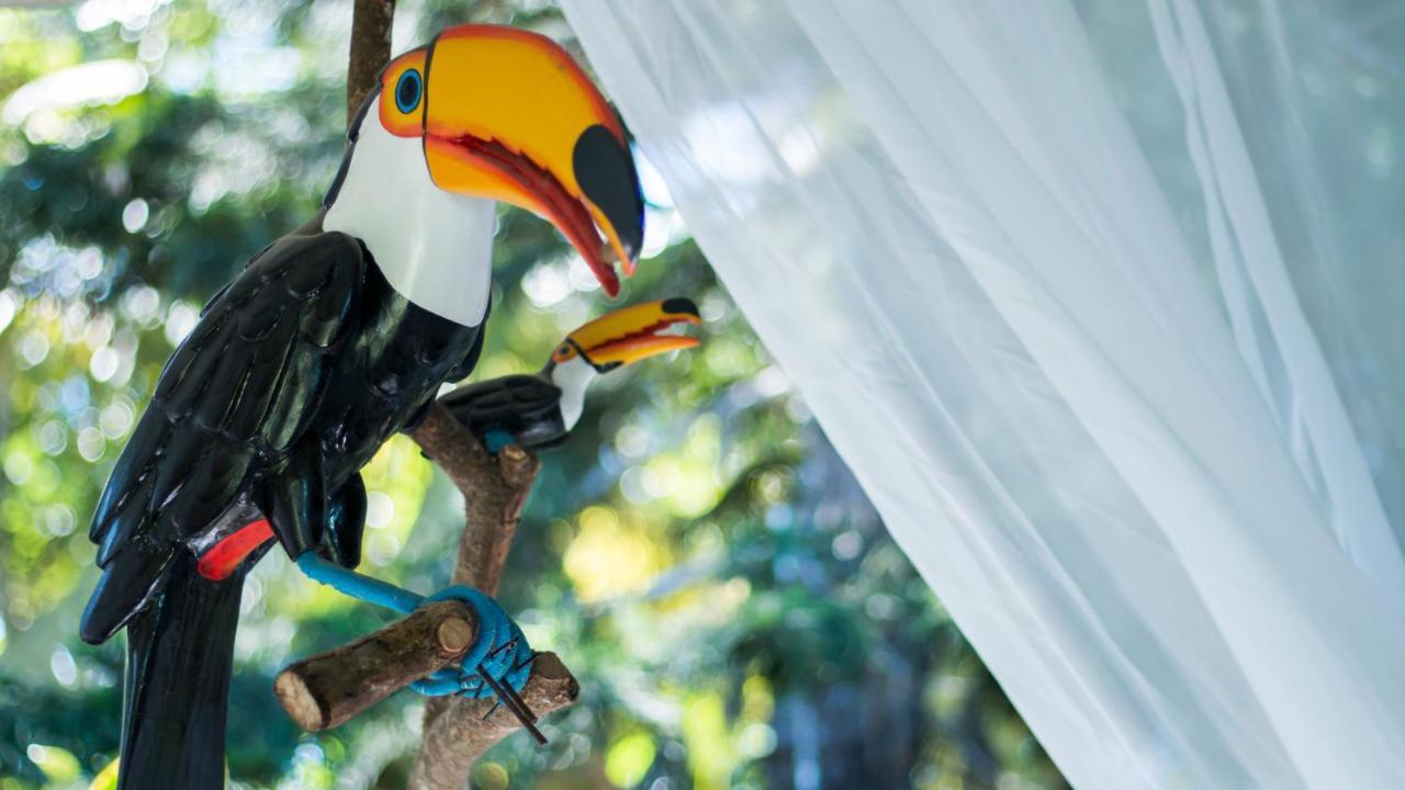 Pousada Calypso トランコーゾ エクステリア 写真